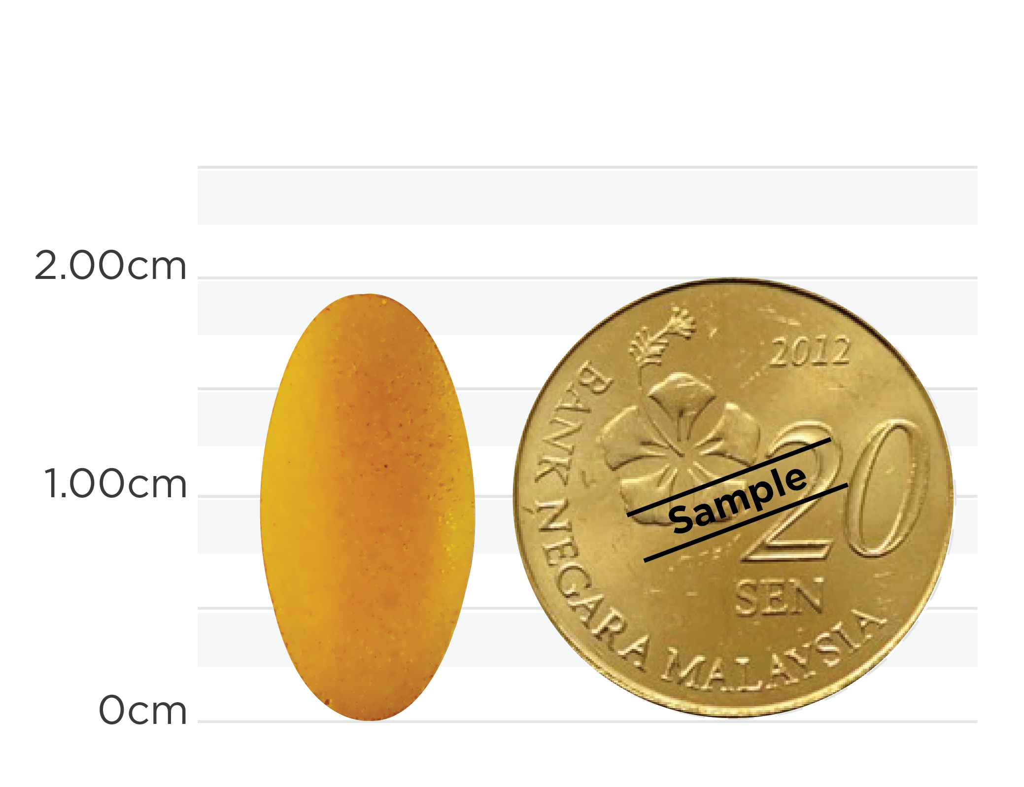 Gingko Turmeric