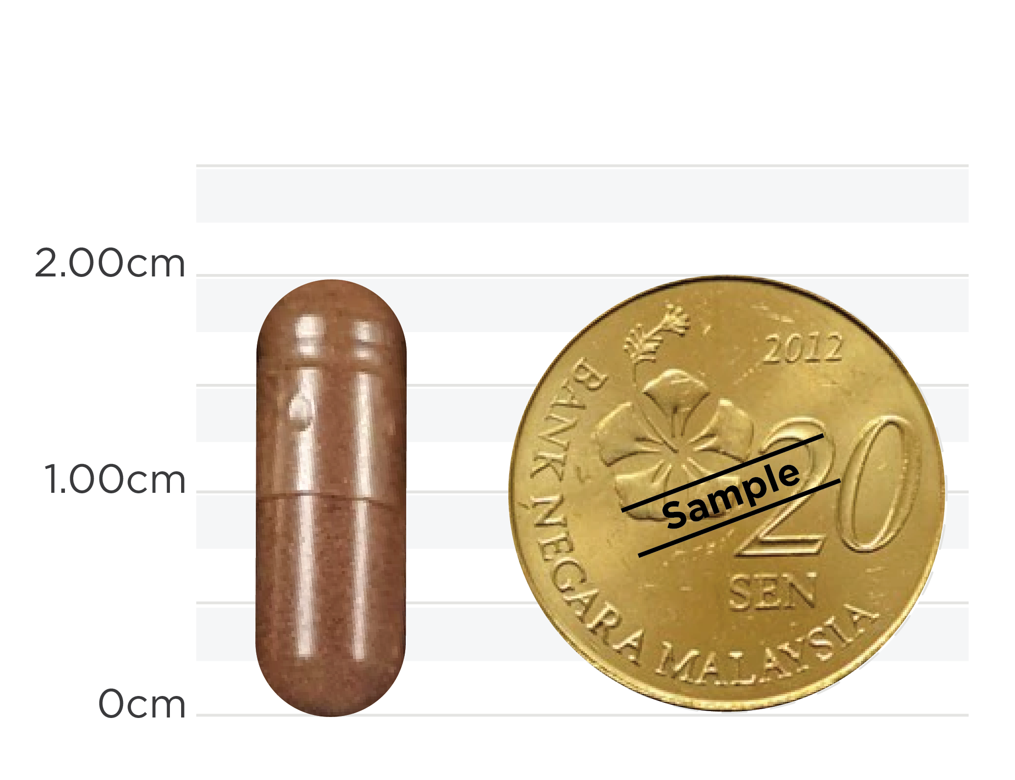 Urine Support