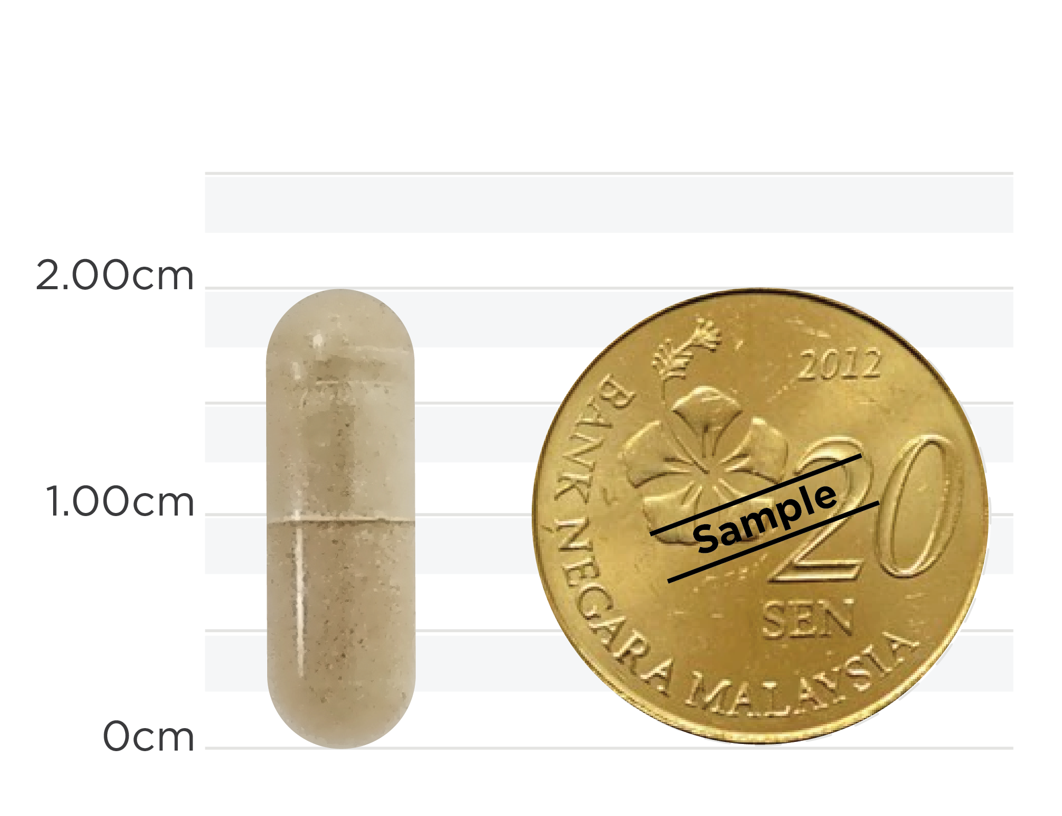 Olive Leaves Extract