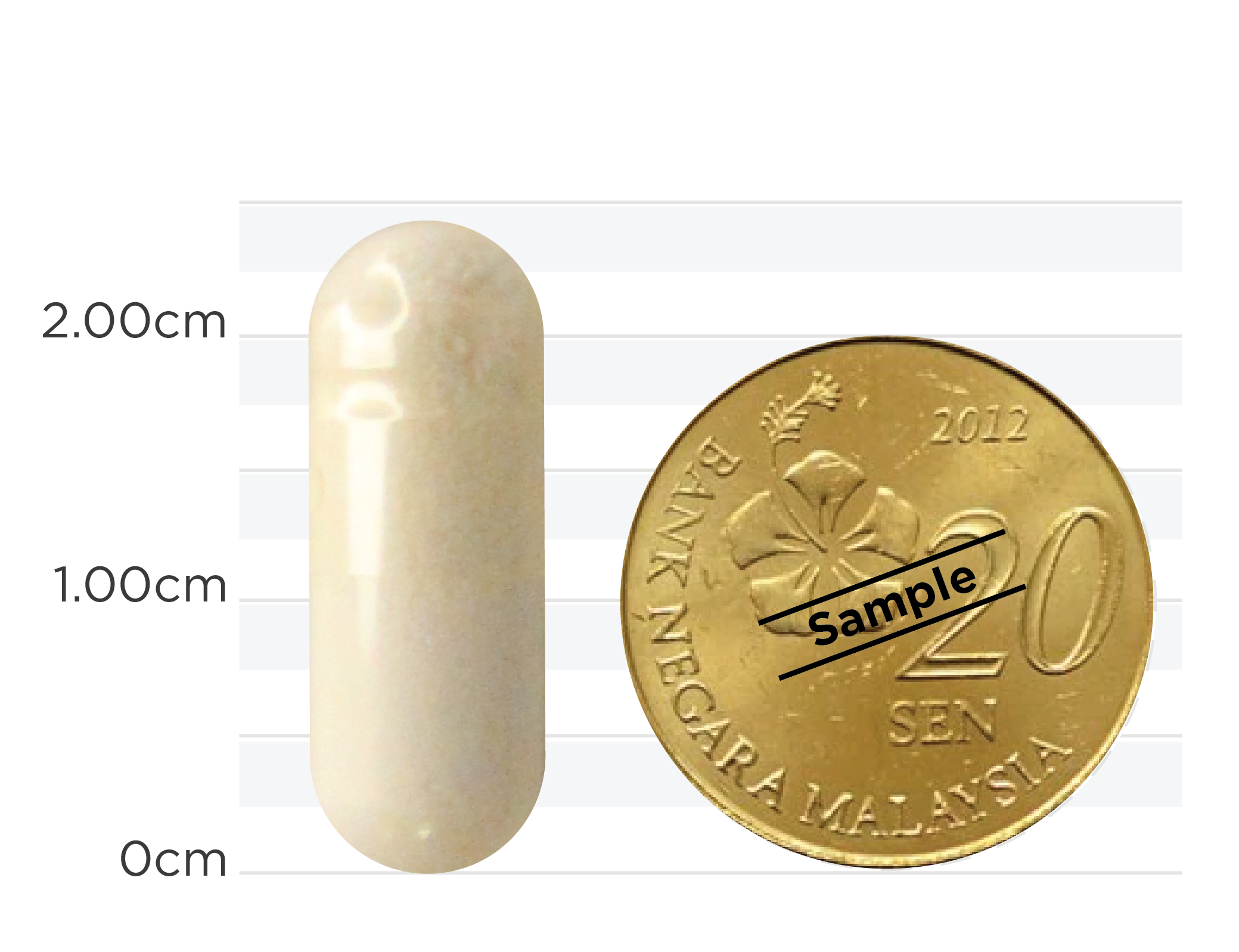 Turmeric Curcumin